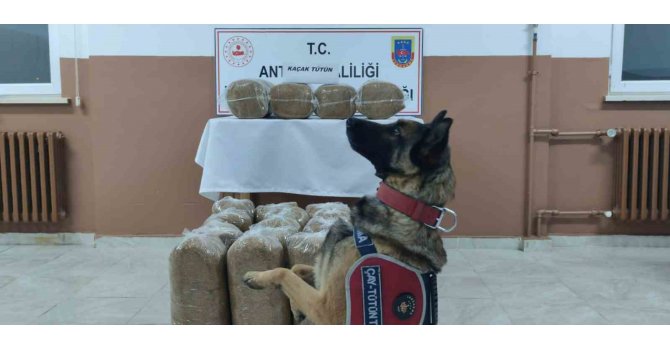 Antalya’da kaçakçılarla mücadele