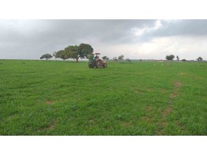 Adana’da meralarda ilkbahar gübrelemesi yapıldı