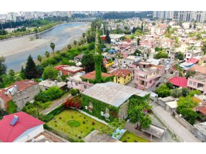 Görenlere huzur veren cami bu sene de sarmaşıklarına kavuştu