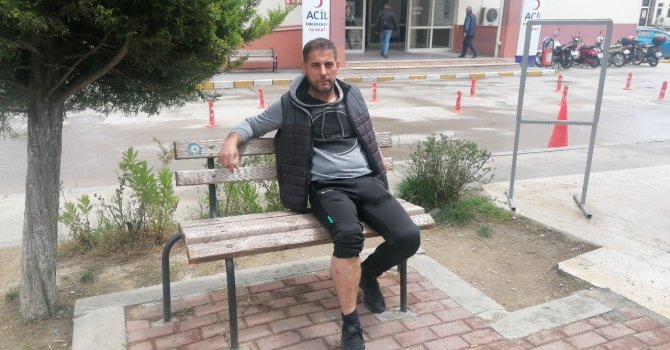 Seçmen bilgi kağıdı dağıtan muhtar, sokak köpeklerinin saldırısına uğradı