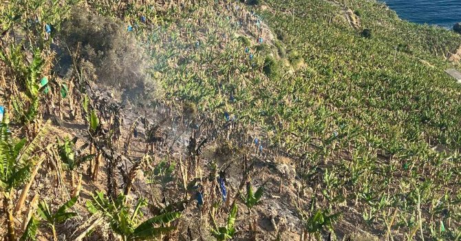 Antalya’da ormanlık alanda ve muz bahçesinde çıkan yangında 8 dönüm alan zarar gördü