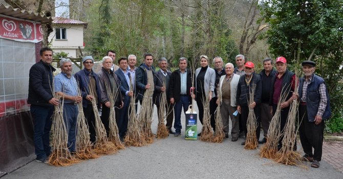 Büyükşehir Belediyesi koza üreticisinin yanında