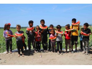 Tescilli Adana karpuzu dünya sofralarını da süslüyor