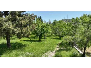 Büyükşehir Belediyesi Ormana’ya kamp ve karavan alanı kazandırıyor