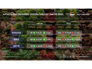 Antalya’da sebze fiyatlarında yüzde 36,69 düşüş