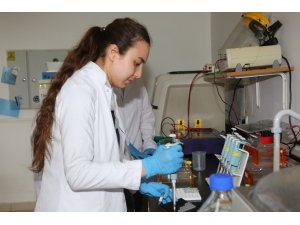 Akdeniz Üniversitesi’nden, lisans öğrencilerine yönelik projeye destek