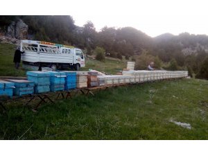 Hava şartları arıları olumsuz etkiledi