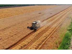 Cumhurbaşkanı Erdoğan’ın buğday fiyatı açıklaması Adanalı üreticileri sevindirdi