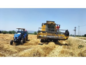 Osmaniye’de buğday alım fiyatı ve verimi çiftçinin yüzünü güldürdü