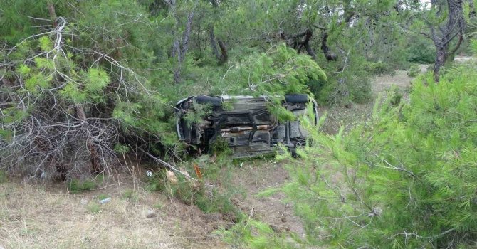 Kontrolden çıkan otomobil ormanlık alana uçtu: 2 yaralı