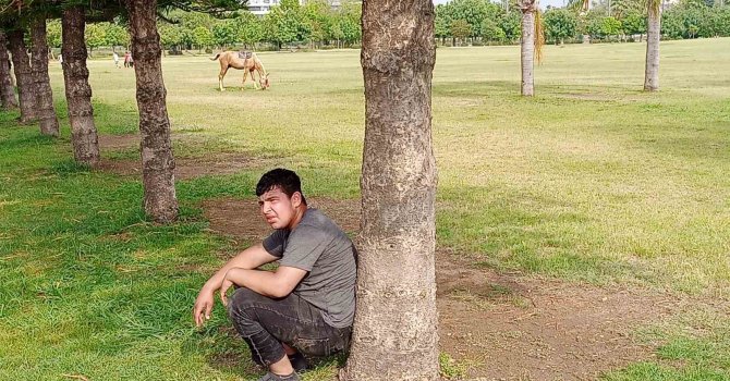 Sahibini düşüren atın parkta başıboş dolaşması vatandaşları tedirgin etti