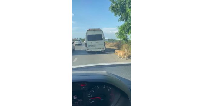 Minibüsün arkasına bağladığı köpeği zorla götürdü