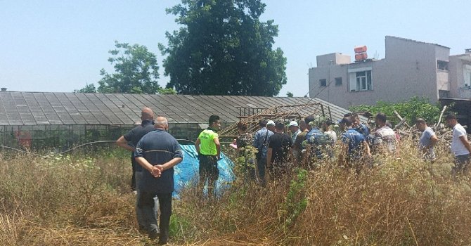 Viteste unuttuğu traktör hareket edince düşüp hayatını kaybetti