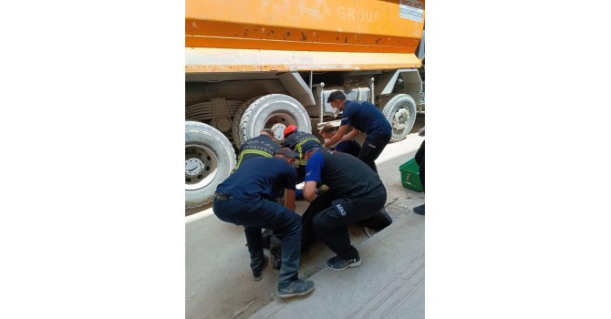 Hafriyat kamyonunun çarptığı şahıs öldü