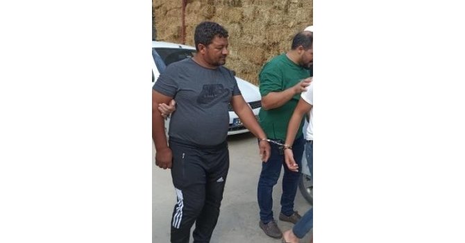 İneğe içki şişesinde sıvı veren şahıs, önceki hapis cezası nedeniyle tutuklandı