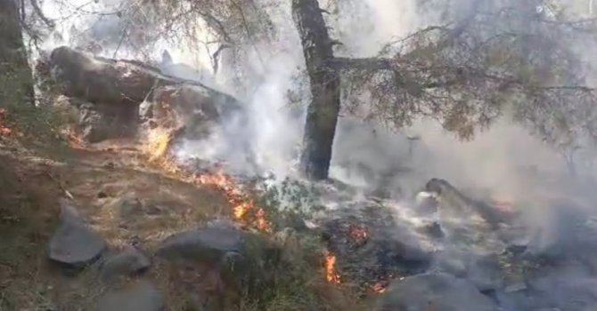 Mersin’de orman yangını, 4 dönüm zarar gördü