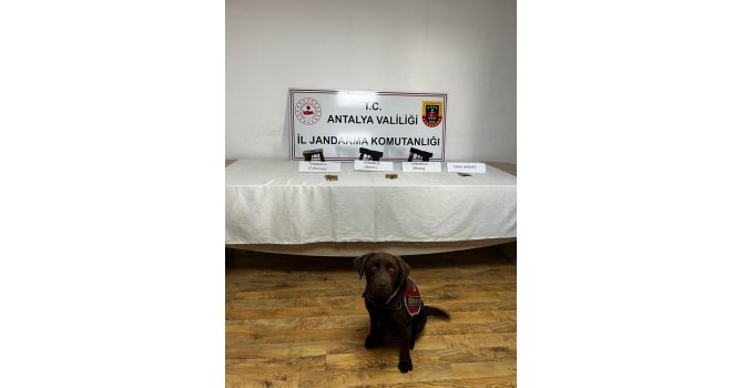 Jandarma narkotik köpeklerinden uyuşturucuya geçit yok