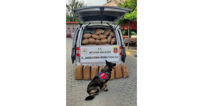 Adana’da kaçak 255 kilogram tütün ele geçirildi
