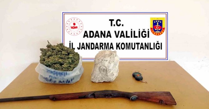 Narenciye bahçesini kenevir tarlasına çevirmişler