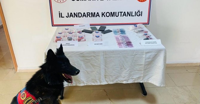 Jandarma uyuşturucu operasyonu;4 gözaltı