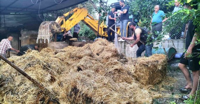 Ahır yangınında bir büyükbaş hayvan telef oldu