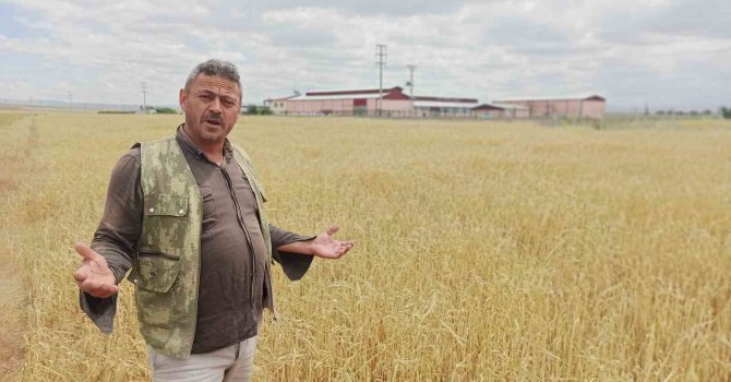 Dolu yağışı, çiftçinin bir yıllık emeği ve alın terini götürdü