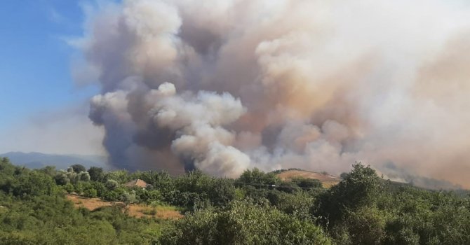 Osmaniye’de ormanlık alanlara girişler yasaklandı