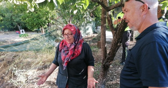 Yılandan korkup ormanı yakıyordu