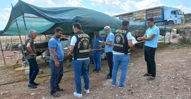 Antalya’da kurban pazarlarında dolandırıcılık uyarısı
