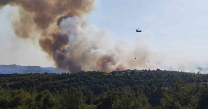 Adana’da orman yangını: Havadan ve karadan müdahale başladı