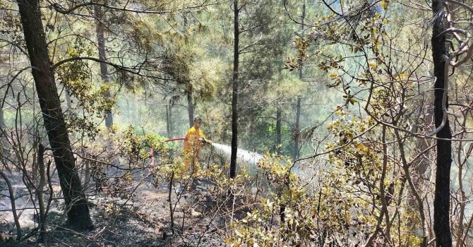 Osmaniye’de orman yangını, ekipler havadan ve karadan müdahale etti
