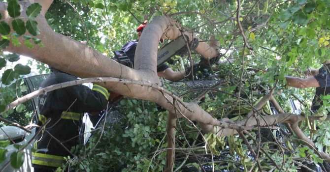 Tatilinin ilk gününde denize girmek için aracını park etti, geri döndüğünde gözlerine inanamadı