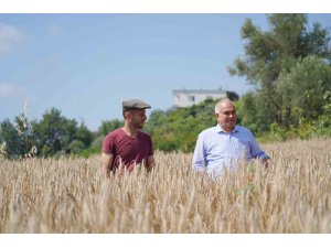 Örnek projeyle atıl araziler üretime kazandırıldı, ilk hasat yapıldı