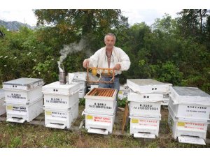 Antalya’da arı kovanlarının yeni adresi bin 960 metre rakımlı yaylalar