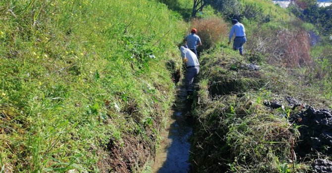 Alanya’da sulama kanallarını temizliyor