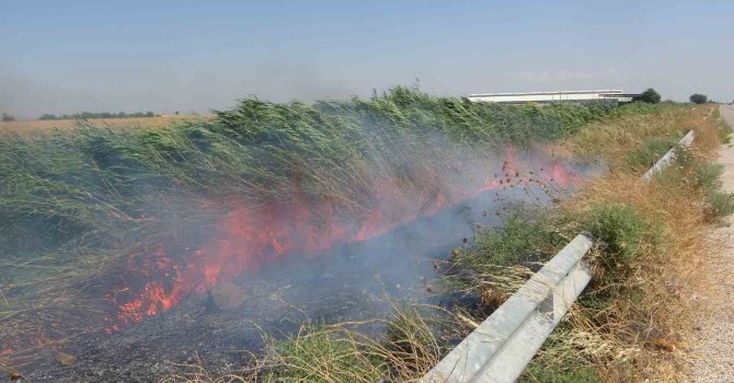 Mısır tarlasındaki yangın büyümeden söndürüldü