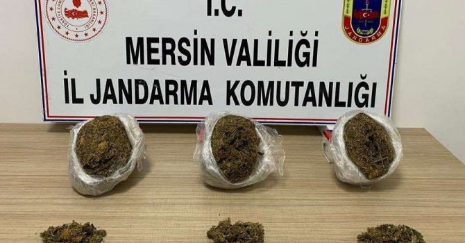 Mersin’de 5 kilo 200 gram skunk esrar ele geçirildi: 3 gözaltı