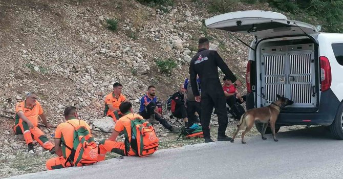 Dağda kaybolan yaşlı adam bugün de bulunamadı