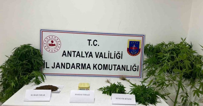 Jandarma uyuşturucu tacirlerine göz açtırmıyor