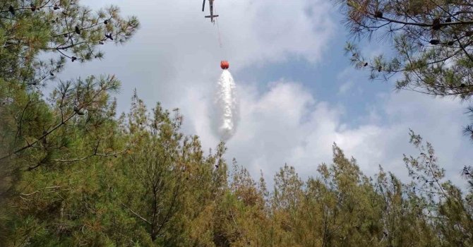 Osmaniye’de 1 dönüm kızıl çam ormanı yandı