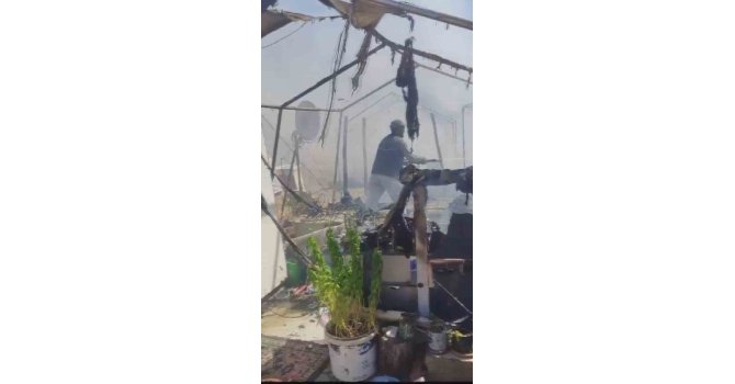 Çadır kentte yangın