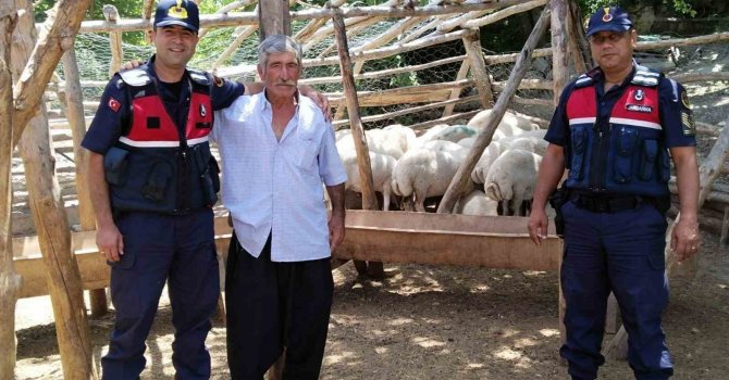 Küçükbaş hayvan hırsızları tutuklandı