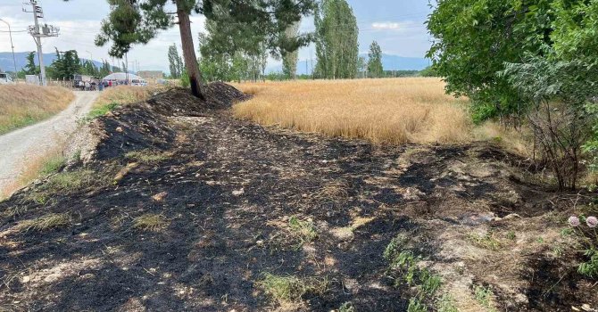 Burdur’da buğday tarlasında çıkan yangın itfaiyenin erken müdahalesiyle söndürüldü