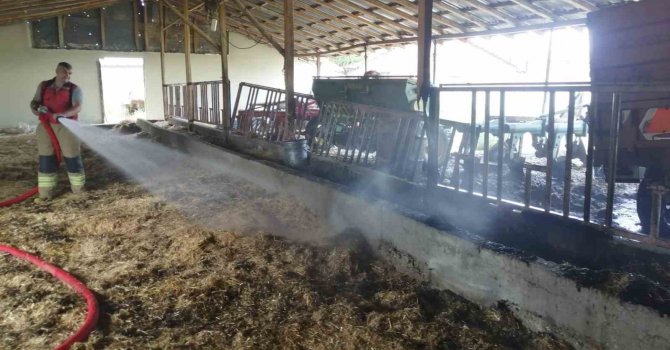 Besihanede çıkan yangın ekipler tarafından bürümeden söndürüldü