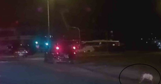 Çocuk aracın bagajından yolun ortasına düştü