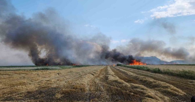 Burdur’da 800 dekar tarım arazisi yangında küle döndü