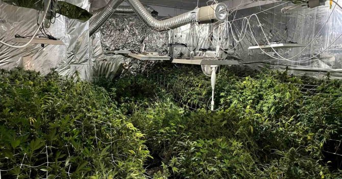 Mersin’de bahçesinde uyuşturucu yetiştiren bir şüpheli yakalandı