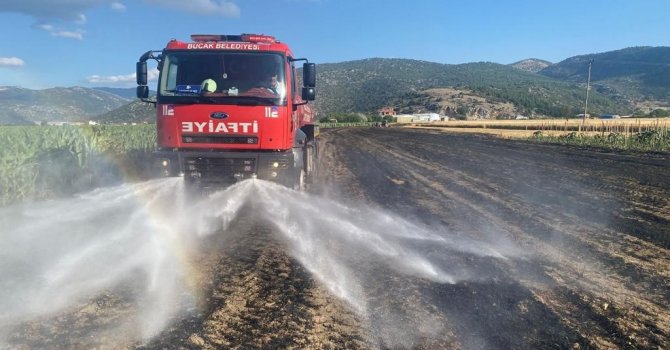 Burdur’da çıkan yangında 20 dekar tarım arazisi küle döndü