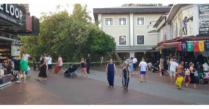 Alanya’da asırlık çınar gövdesinden kırılıp yola devrildi