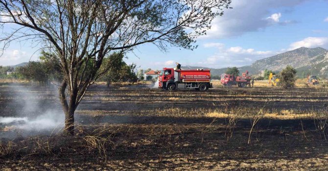 Burdur’da 40 dekar arazi ve arı kovanları yangında küle döndü
